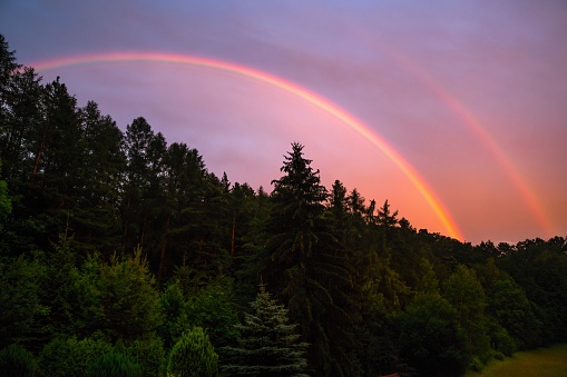 Double rainbow over dark forest, summer evening after rain.