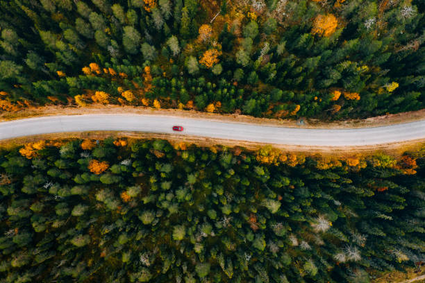 Aerial view of road with car through fall woods with green and yellow trees in Finland. stock photo