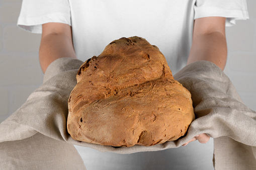 Female hands holding the bread of Matera, Pane di Matera on white background, typical southen italian sourdough bread, the crunchy loaf has the shape of a croissant, produced with durum wheat semolina