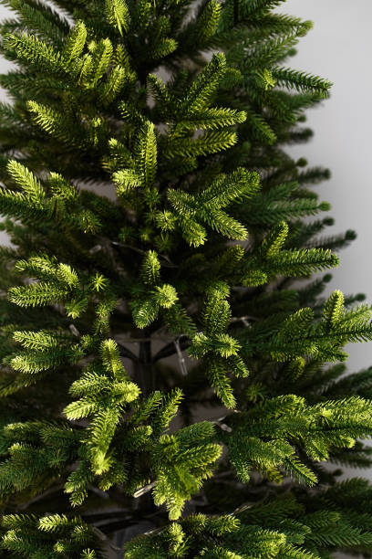 녹색 가문비 나무 가지. 인공 아름다운 캐스트 바늘. 크리스마스 트리 - artificial tree 뉴스 사진 이미지