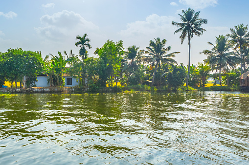 Kerala backwaters, India