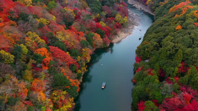 Over the autumn river