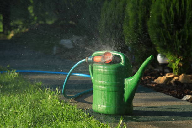 istock Green lawn watering can 1413995092
