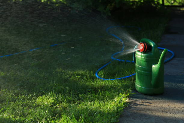 istock Green lawn watering can 1413995372