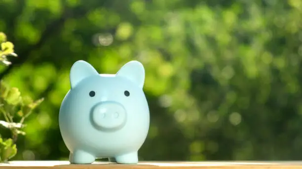 Piggy bank on green nature background. Saving money for future and retirement fund, business or finance and investment money. Pension, Vacations, Currency, Savings, finance. Copy space