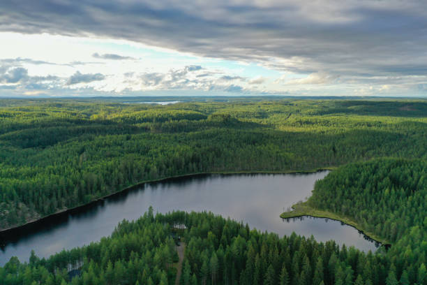 istock Finland lake nature beautiful sunset aerial view 1414001031