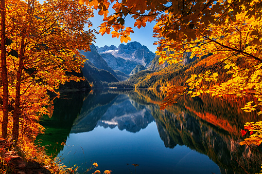 Colorful tree branches  on fall lake in colorful forest.  Beautiful autumn lake. Price Lake by  Blue Ridge Parkway, near Blowing Rock, North Carolina, USA.