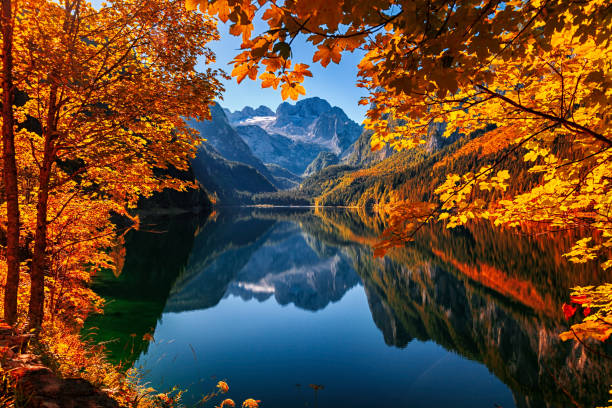 jesień nad jeziorem gosau (gosausee) w salzkammergut, austria - european alps austria autumn colors zdjęcia i obrazy z banku zdjęć