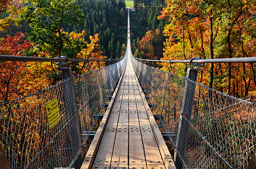 Suspension footbridge Geierlay (Hangeseilbrucke Geierlay), Germany