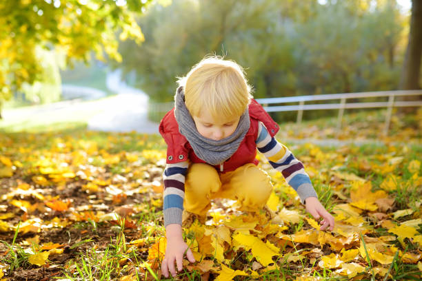 晴れた秋の日に公共の公園を散歩しながら楽しんでいる小さな男の子。自然の中でアクティブな家族の時間。小さな子供とのハイキング。 - 13573 ストックフォトと画像