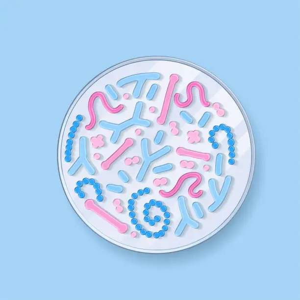 Vector illustration of Bacteria gram. 3d render top view petri dishe with different colorful microorganisms, bacillus and germs. Microbiology and bacteriology laboratory tests concept. Vector licrobiome illustration,