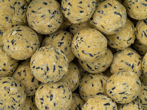 Background of fat balls of the type used as bird food