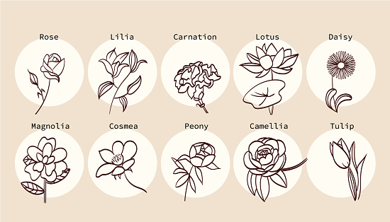 a collection of vector icons depicting various types of flowers in a simple style