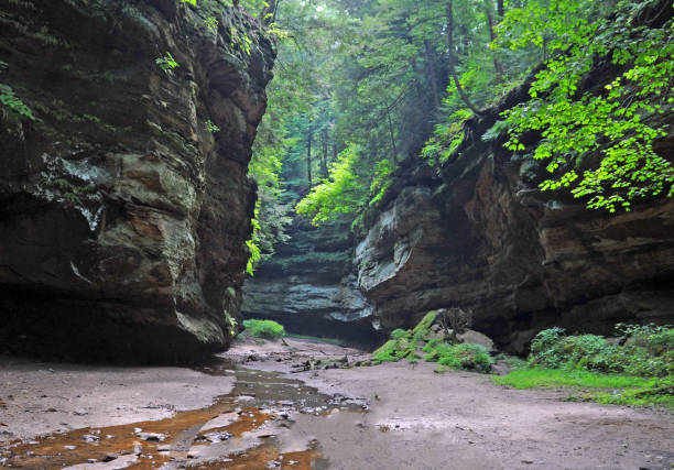 limestone canyon-Turkey Run, Indiana