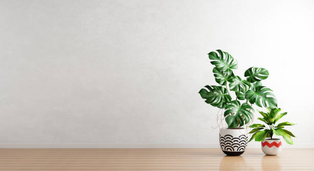istock Green plants in houseplants pot with white empty wall background. Interior architecture and natural concept. 3D illustration rendering 1414010440