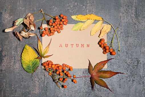Card with autumn leaves and berries