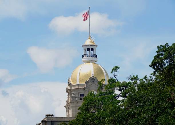 Downtown Savannah building with a golden dome and a waving American flag located at the top. Trees are in the foreground and sky in the background.