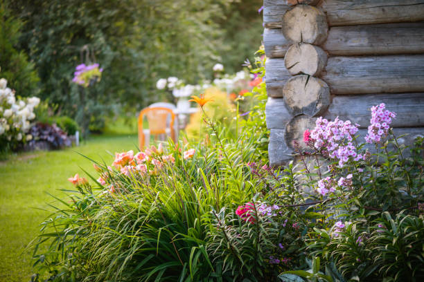 beautiful ornamental garden
