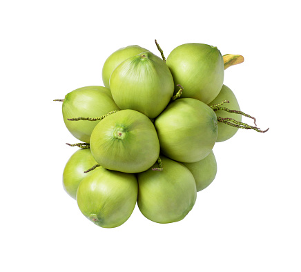 Young green coconut cluster isolated on white background