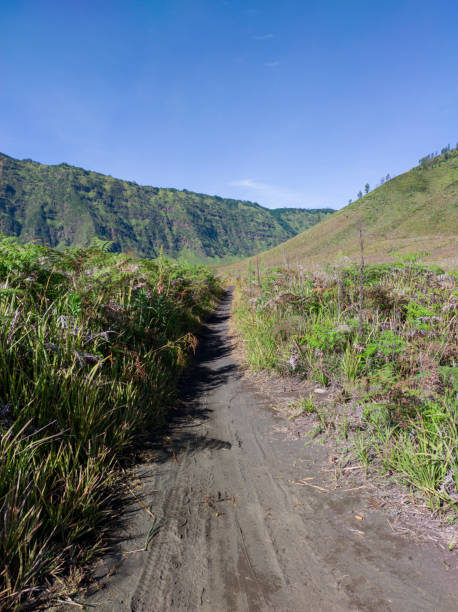 istock Path in the middle of the meadow against blue sky background 1414020057