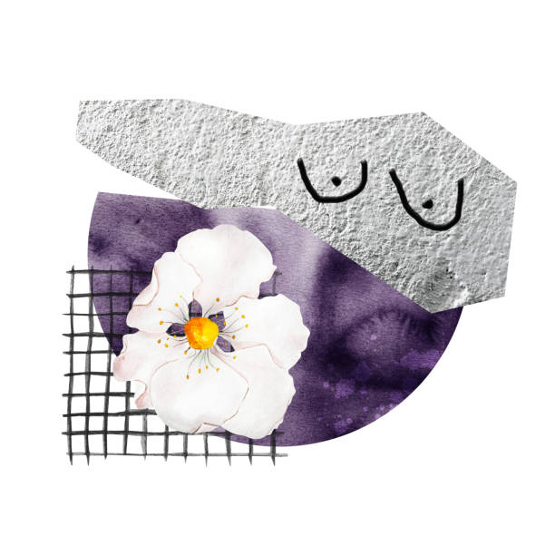 weiße blume feminismus abstraktes aquarell collage fleck grunge gitter - flower frame single flower rose stock-grafiken, -clipart, -cartoons und -symbole