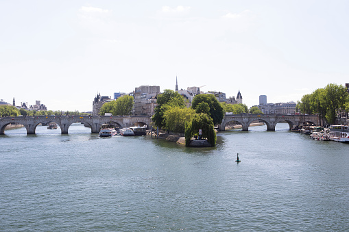 The Seine River, Pont Neuf and Saule Pleureur de la Pointe viewed from Pont des Arts