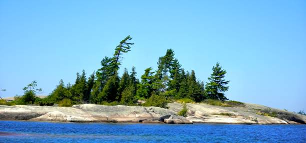 istock Pine trees on Rock Island inGeorgian Bay 1414023433