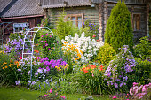 istock beautiful ornamental garden (house) 1414023501