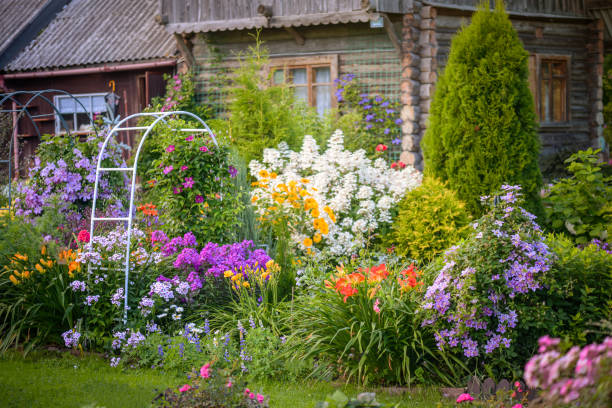 beautiful ornamental garden (house) stock photo