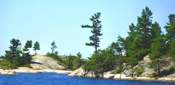 istock Georgian Bay Islands with Pines 1414023506