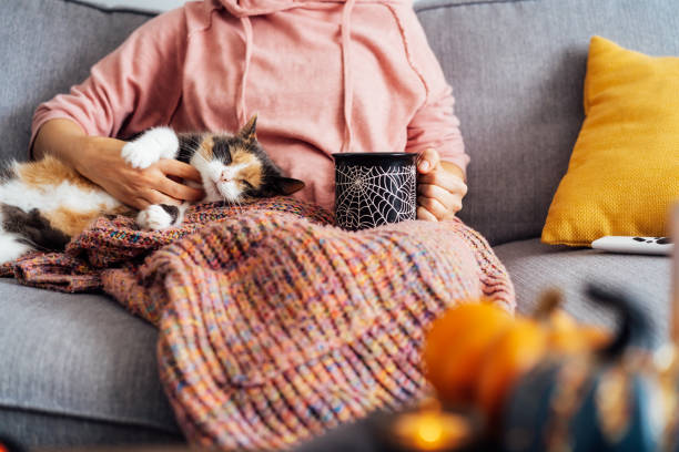 Woman in plaid drinking hot tea from Halloween theme mug, stroking relaxed multicolored cat pet on the sofa at decorated for fall holidays home. Cozy and comfortable autumn holidays. Selective focus mujer a cuadros bebiendo té caliente de la taza temática de halloween, acariciando a la mascota de gato multicolor relajada en el sofá decorado para las vacaciones de otoño en casa. acogedoras y cómodas vacaciones de otoño. enfoque selectivo.