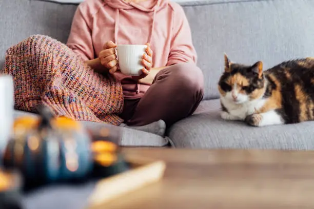 Photo of Close up woman in plaid holding cup of tea or coffee, watching movie, TV with multicolored cat on the sofa at home, decorated for fall holidays. Cozy and comfortable autumn concept. Selective focus
