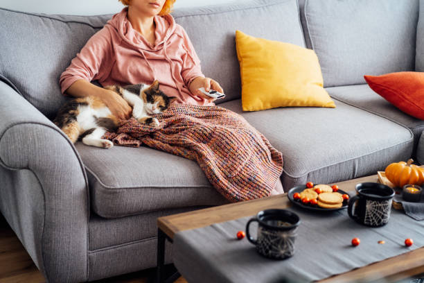 istock Woman with plaid selecting movie with remote controller and stroking multicolored cat pet on the sofa. Movie night party at home with sweets and hot drinks. Cozy autumn holidays. Selective focus. 1414024995