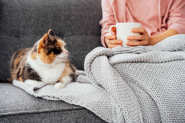 istock Close up woman with plaid drinking hot tea while sitting with multicolored pet cat on the sofa at home. Cozy and comfortable winter, autumn weekend concept. Rest and relax. Selective focus. 1414025005