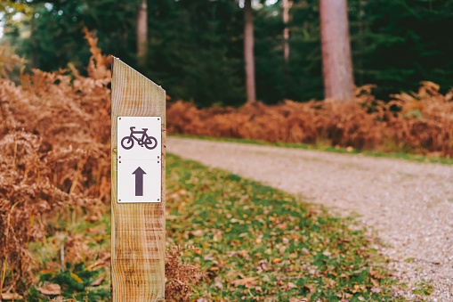 Signpost biking trails with arrow driving direction of the road. Wooden sign in the autumn forest with empty path. Selective focus, copy space