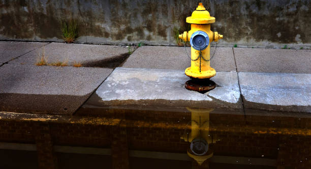 istock Yellow Fire Hydrant Reflected in Puddle of Water in Gutter Road 1414027604