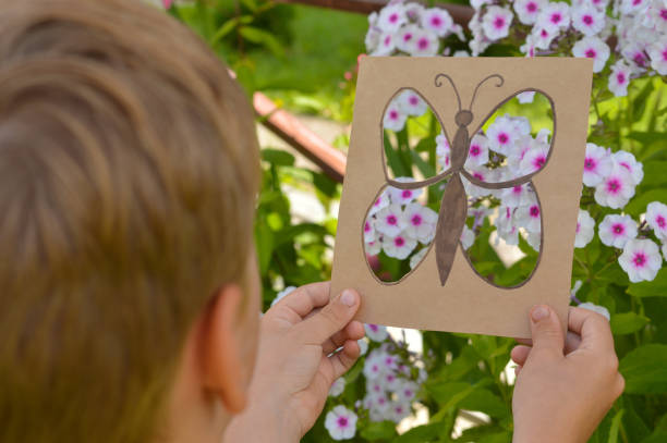 développement de la fantaisie et de l’imagination des enfants. un papillon découpé dans une boîte en carton sur fond de fleurs de phlox roses, que faire avec les enfants en été. - nature summer child one little boy photos et images de collection