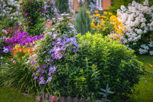 istock beautiful ornamental garden 1414029510