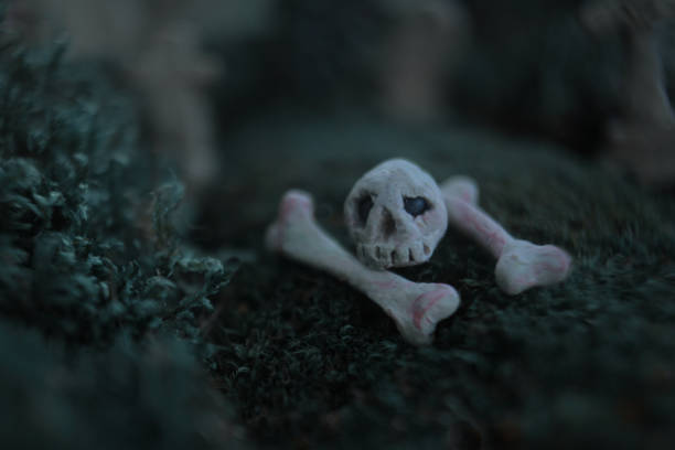 istock Plasticine skull and bones on the cemetery . Halloween background 1414033738