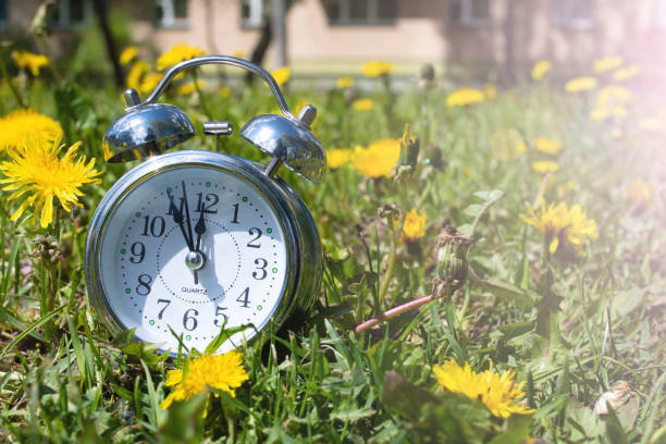 istock Alarm clock among grass and flowers closeup 1414042596