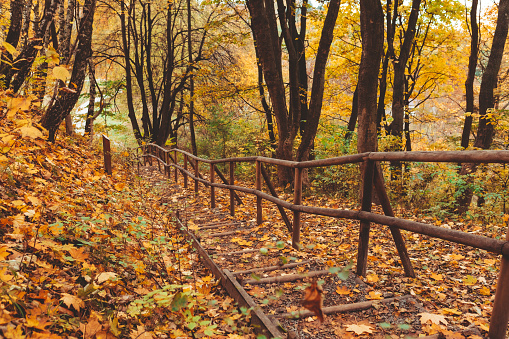 stairs in autumn park fall season