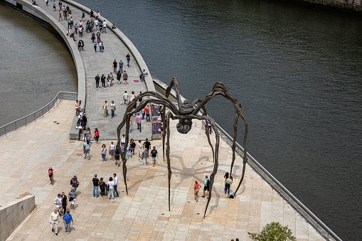 Bilbao, Spain - October 13, 2012: View of Guggenheim Museum Bilbao, designed by the architect Frank Gehry