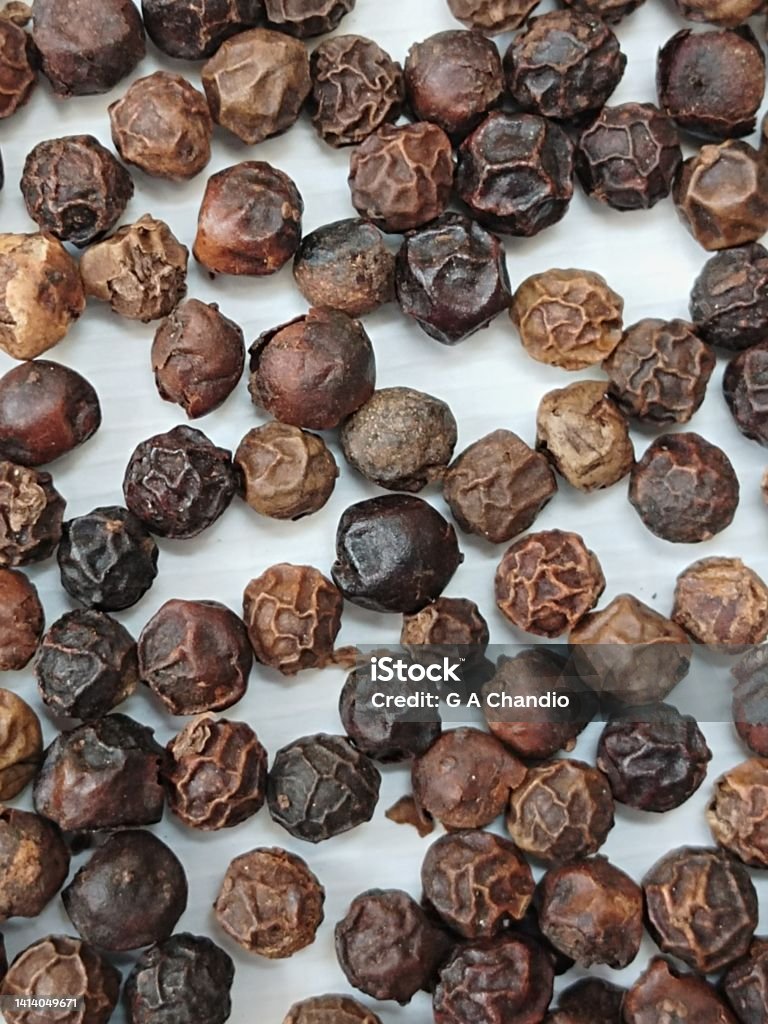 Black Pepper corn or piper Nigrum or Kali Mirch or pepe or hu jiao or pimienta fulful or filfil or poivre pfeffer on white background Black pepper corn or seed spice used in food Black Peppercorn Stock Photo