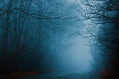 秋の森を抜ける霧のかかった道。冷たい青の色調の神秘的な経路。ハロウィーンの背景。