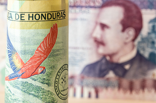 currency of Honduras, A rolled-up 200 Lempira banknote with macaw parrots and the highest 500 denomination in the country, Economic and business concept