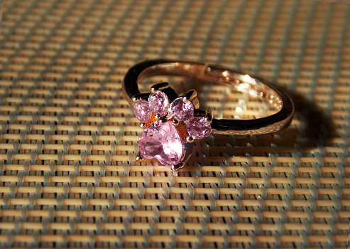 Gold-tone ring with a stone cat's paw.