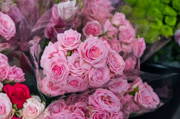 Photo of Lots of pink flowers in plastic in a flower shop in Lund Sweden