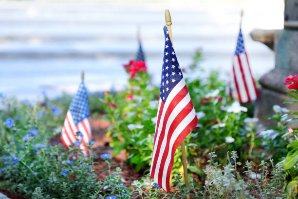 istock American flags arrangement in public park 1414051556