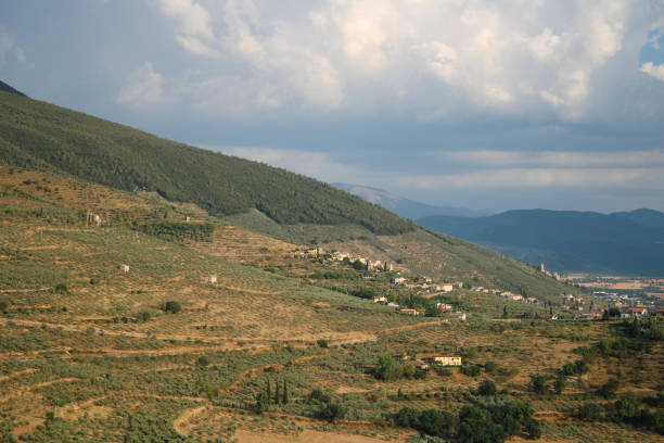 istock View over the olive groves surrounding Trevi 1414054878