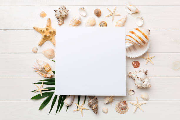 istock Summer time concept with blank greeting card and blank white paper on colored background. Seashells from ocean shore in the shape of frame separated with space for text top view 1414055549